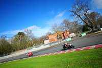 anglesey;brands-hatch;cadwell-park;croft;donington-park;enduro-digital-images;event-digital-images;eventdigitalimages;mallory;no-limits;oulton-park;peter-wileman-photography;racing-digital-images;silverstone;snetterton;trackday-digital-images;trackday-photos;vmcc-banbury-run;welsh-2-day-enduro
