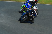 anglesey;brands-hatch;cadwell-park;croft;donington-park;enduro-digital-images;event-digital-images;eventdigitalimages;mallory;no-limits;oulton-park;peter-wileman-photography;racing-digital-images;silverstone;snetterton;trackday-digital-images;trackday-photos;vmcc-banbury-run;welsh-2-day-enduro
