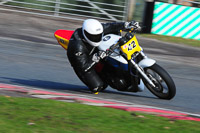 anglesey;brands-hatch;cadwell-park;croft;donington-park;enduro-digital-images;event-digital-images;eventdigitalimages;mallory;no-limits;oulton-park;peter-wileman-photography;racing-digital-images;silverstone;snetterton;trackday-digital-images;trackday-photos;vmcc-banbury-run;welsh-2-day-enduro