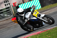 anglesey;brands-hatch;cadwell-park;croft;donington-park;enduro-digital-images;event-digital-images;eventdigitalimages;mallory;no-limits;oulton-park;peter-wileman-photography;racing-digital-images;silverstone;snetterton;trackday-digital-images;trackday-photos;vmcc-banbury-run;welsh-2-day-enduro