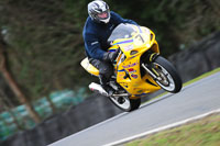 anglesey;brands-hatch;cadwell-park;croft;donington-park;enduro-digital-images;event-digital-images;eventdigitalimages;mallory;no-limits;oulton-park;peter-wileman-photography;racing-digital-images;silverstone;snetterton;trackday-digital-images;trackday-photos;vmcc-banbury-run;welsh-2-day-enduro