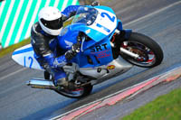 anglesey;brands-hatch;cadwell-park;croft;donington-park;enduro-digital-images;event-digital-images;eventdigitalimages;mallory;no-limits;oulton-park;peter-wileman-photography;racing-digital-images;silverstone;snetterton;trackday-digital-images;trackday-photos;vmcc-banbury-run;welsh-2-day-enduro
