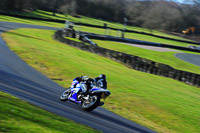 anglesey;brands-hatch;cadwell-park;croft;donington-park;enduro-digital-images;event-digital-images;eventdigitalimages;mallory;no-limits;oulton-park;peter-wileman-photography;racing-digital-images;silverstone;snetterton;trackday-digital-images;trackday-photos;vmcc-banbury-run;welsh-2-day-enduro