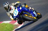 anglesey;brands-hatch;cadwell-park;croft;donington-park;enduro-digital-images;event-digital-images;eventdigitalimages;mallory;no-limits;oulton-park;peter-wileman-photography;racing-digital-images;silverstone;snetterton;trackday-digital-images;trackday-photos;vmcc-banbury-run;welsh-2-day-enduro