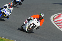 anglesey;brands-hatch;cadwell-park;croft;donington-park;enduro-digital-images;event-digital-images;eventdigitalimages;mallory;no-limits;oulton-park;peter-wileman-photography;racing-digital-images;silverstone;snetterton;trackday-digital-images;trackday-photos;vmcc-banbury-run;welsh-2-day-enduro