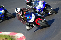 anglesey;brands-hatch;cadwell-park;croft;donington-park;enduro-digital-images;event-digital-images;eventdigitalimages;mallory;no-limits;oulton-park;peter-wileman-photography;racing-digital-images;silverstone;snetterton;trackday-digital-images;trackday-photos;vmcc-banbury-run;welsh-2-day-enduro
