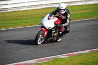 anglesey;brands-hatch;cadwell-park;croft;donington-park;enduro-digital-images;event-digital-images;eventdigitalimages;mallory;no-limits;oulton-park;peter-wileman-photography;racing-digital-images;silverstone;snetterton;trackday-digital-images;trackday-photos;vmcc-banbury-run;welsh-2-day-enduro