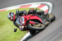 anglesey;brands-hatch;cadwell-park;croft;donington-park;enduro-digital-images;event-digital-images;eventdigitalimages;mallory;no-limits;oulton-park;peter-wileman-photography;racing-digital-images;silverstone;snetterton;trackday-digital-images;trackday-photos;vmcc-banbury-run;welsh-2-day-enduro