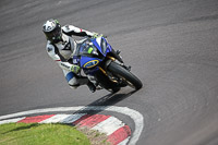 anglesey;brands-hatch;cadwell-park;croft;donington-park;enduro-digital-images;event-digital-images;eventdigitalimages;mallory;no-limits;oulton-park;peter-wileman-photography;racing-digital-images;silverstone;snetterton;trackday-digital-images;trackday-photos;vmcc-banbury-run;welsh-2-day-enduro
