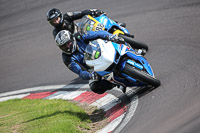 anglesey;brands-hatch;cadwell-park;croft;donington-park;enduro-digital-images;event-digital-images;eventdigitalimages;mallory;no-limits;oulton-park;peter-wileman-photography;racing-digital-images;silverstone;snetterton;trackday-digital-images;trackday-photos;vmcc-banbury-run;welsh-2-day-enduro