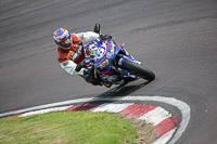 anglesey;brands-hatch;cadwell-park;croft;donington-park;enduro-digital-images;event-digital-images;eventdigitalimages;mallory;no-limits;oulton-park;peter-wileman-photography;racing-digital-images;silverstone;snetterton;trackday-digital-images;trackday-photos;vmcc-banbury-run;welsh-2-day-enduro