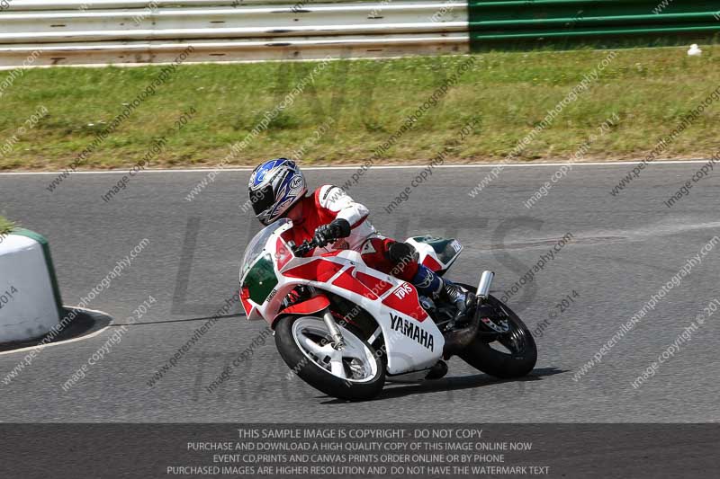 enduro digital images;event digital images;eventdigitalimages;mallory park;mallory park photographs;mallory park trackday;mallory park trackday photographs;no limits trackdays;peter wileman photography;racing digital images;trackday digital images;trackday photos