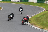 enduro-digital-images;event-digital-images;eventdigitalimages;mallory-park;mallory-park-photographs;mallory-park-trackday;mallory-park-trackday-photographs;no-limits-trackdays;peter-wileman-photography;racing-digital-images;trackday-digital-images;trackday-photos