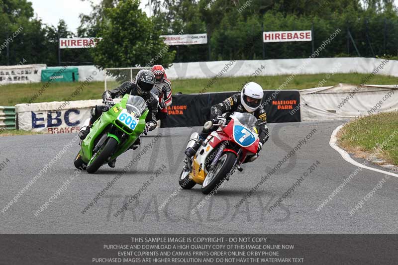 enduro digital images;event digital images;eventdigitalimages;mallory park;mallory park photographs;mallory park trackday;mallory park trackday photographs;no limits trackdays;peter wileman photography;racing digital images;trackday digital images;trackday photos