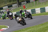 cadwell-no-limits-trackday;cadwell-park;cadwell-park-photographs;cadwell-trackday-photographs;enduro-digital-images;event-digital-images;eventdigitalimages;no-limits-trackdays;peter-wileman-photography;racing-digital-images;trackday-digital-images;trackday-photos
