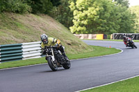 cadwell-no-limits-trackday;cadwell-park;cadwell-park-photographs;cadwell-trackday-photographs;enduro-digital-images;event-digital-images;eventdigitalimages;no-limits-trackdays;peter-wileman-photography;racing-digital-images;trackday-digital-images;trackday-photos