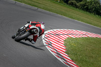 Fast Blue/White Bikes