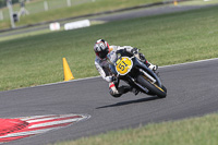 enduro-digital-images;event-digital-images;eventdigitalimages;no-limits-trackdays;peter-wileman-photography;racing-digital-images;snetterton;snetterton-no-limits-trackday;snetterton-photographs;snetterton-trackday-photographs;trackday-digital-images;trackday-photos