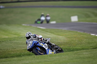 Fast Blue/White Bikes