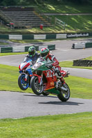 cadwell-no-limits-trackday;cadwell-park;cadwell-park-photographs;cadwell-trackday-photographs;enduro-digital-images;event-digital-images;eventdigitalimages;no-limits-trackdays;peter-wileman-photography;racing-digital-images;trackday-digital-images;trackday-photos