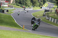 Novice Green/Yellow Bikes