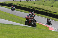 cadwell-no-limits-trackday;cadwell-park;cadwell-park-photographs;cadwell-trackday-photographs;enduro-digital-images;event-digital-images;eventdigitalimages;no-limits-trackdays;peter-wileman-photography;racing-digital-images;trackday-digital-images;trackday-photos