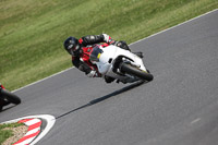 brands-hatch-photographs;brands-no-limits-trackday;cadwell-trackday-photographs;enduro-digital-images;event-digital-images;eventdigitalimages;no-limits-trackdays;peter-wileman-photography;racing-digital-images;trackday-digital-images;trackday-photos