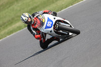 Yellow Inter Blue/White Bikes