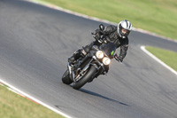 Novice Black/Silver Bikes