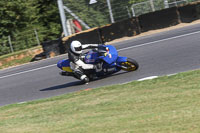 brands-hatch-photographs;brands-no-limits-trackday;cadwell-trackday-photographs;enduro-digital-images;event-digital-images;eventdigitalimages;no-limits-trackdays;peter-wileman-photography;racing-digital-images;trackday-digital-images;trackday-photos