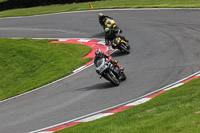 cadwell-no-limits-trackday;cadwell-park;cadwell-park-photographs;cadwell-trackday-photographs;enduro-digital-images;event-digital-images;eventdigitalimages;no-limits-trackdays;peter-wileman-photography;racing-digital-images;trackday-digital-images;trackday-photos