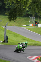 Inter Green/Yellow Bikes