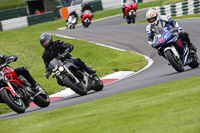 cadwell-no-limits-trackday;cadwell-park;cadwell-park-photographs;cadwell-trackday-photographs;enduro-digital-images;event-digital-images;eventdigitalimages;no-limits-trackdays;peter-wileman-photography;racing-digital-images;trackday-digital-images;trackday-photos