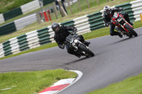 cadwell-no-limits-trackday;cadwell-park;cadwell-park-photographs;cadwell-trackday-photographs;enduro-digital-images;event-digital-images;eventdigitalimages;no-limits-trackdays;peter-wileman-photography;racing-digital-images;trackday-digital-images;trackday-photos