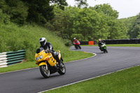 Novice Green/Yellow Bikes