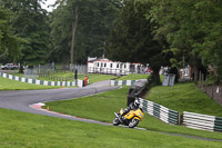 Novice Green/Yellow Bikes