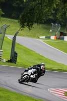 Novice Multicolour Bikes