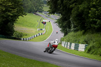 cadwell-no-limits-trackday;cadwell-park;cadwell-park-photographs;cadwell-trackday-photographs;enduro-digital-images;event-digital-images;eventdigitalimages;no-limits-trackdays;peter-wileman-photography;racing-digital-images;trackday-digital-images;trackday-photos