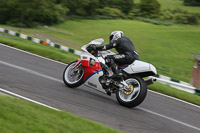 cadwell-no-limits-trackday;cadwell-park;cadwell-park-photographs;cadwell-trackday-photographs;enduro-digital-images;event-digital-images;eventdigitalimages;no-limits-trackdays;peter-wileman-photography;racing-digital-images;trackday-digital-images;trackday-photos