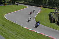 brands-hatch-photographs;brands-no-limits-trackday;cadwell-trackday-photographs;enduro-digital-images;event-digital-images;eventdigitalimages;no-limits-trackdays;peter-wileman-photography;racing-digital-images;trackday-digital-images;trackday-photos