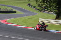 Evening Fast/Inter Red/Orange Bikes