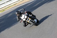 brands-hatch-photographs;brands-no-limits-trackday;cadwell-trackday-photographs;enduro-digital-images;event-digital-images;eventdigitalimages;no-limits-trackdays;peter-wileman-photography;racing-digital-images;trackday-digital-images;trackday-photos