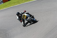 Fast Blue/White Bikes