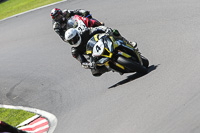 anglesey;brands-hatch;cadwell-park;croft;donington-park;enduro-digital-images;event-digital-images;eventdigitalimages;mallory;no-limits;oulton-park;peter-wileman-photography;racing-digital-images;silverstone;snetterton;trackday-digital-images;trackday-photos;vmcc-banbury-run;welsh-2-day-enduro