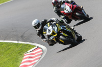 anglesey;brands-hatch;cadwell-park;croft;donington-park;enduro-digital-images;event-digital-images;eventdigitalimages;mallory;no-limits;oulton-park;peter-wileman-photography;racing-digital-images;silverstone;snetterton;trackday-digital-images;trackday-photos;vmcc-banbury-run;welsh-2-day-enduro