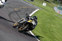 anglesey;brands-hatch;cadwell-park;croft;donington-park;enduro-digital-images;event-digital-images;eventdigitalimages;mallory;no-limits;oulton-park;peter-wileman-photography;racing-digital-images;silverstone;snetterton;trackday-digital-images;trackday-photos;vmcc-banbury-run;welsh-2-day-enduro