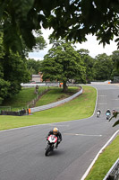 anglesey;brands-hatch;cadwell-park;croft;donington-park;enduro-digital-images;event-digital-images;eventdigitalimages;mallory;no-limits;oulton-park;peter-wileman-photography;racing-digital-images;silverstone;snetterton;trackday-digital-images;trackday-photos;vmcc-banbury-run;welsh-2-day-enduro