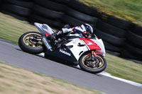 Fast Multicolour Bikes