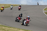 anglesey-no-limits-trackday;anglesey-photographs;anglesey-trackday-photographs;enduro-digital-images;event-digital-images;eventdigitalimages;no-limits-trackdays;peter-wileman-photography;racing-digital-images;trac-mon;trackday-digital-images;trackday-photos;ty-croes