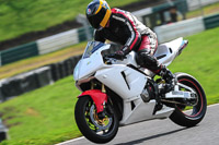 cadwell-no-limits-trackday;cadwell-park;cadwell-park-photographs;cadwell-trackday-photographs;enduro-digital-images;event-digital-images;eventdigitalimages;no-limits-trackdays;peter-wileman-photography;racing-digital-images;trackday-digital-images;trackday-photos